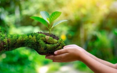 Día Mundial del Medio Ambiente – 05 de Junio